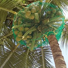 Balcony Safety Nets in bangalore