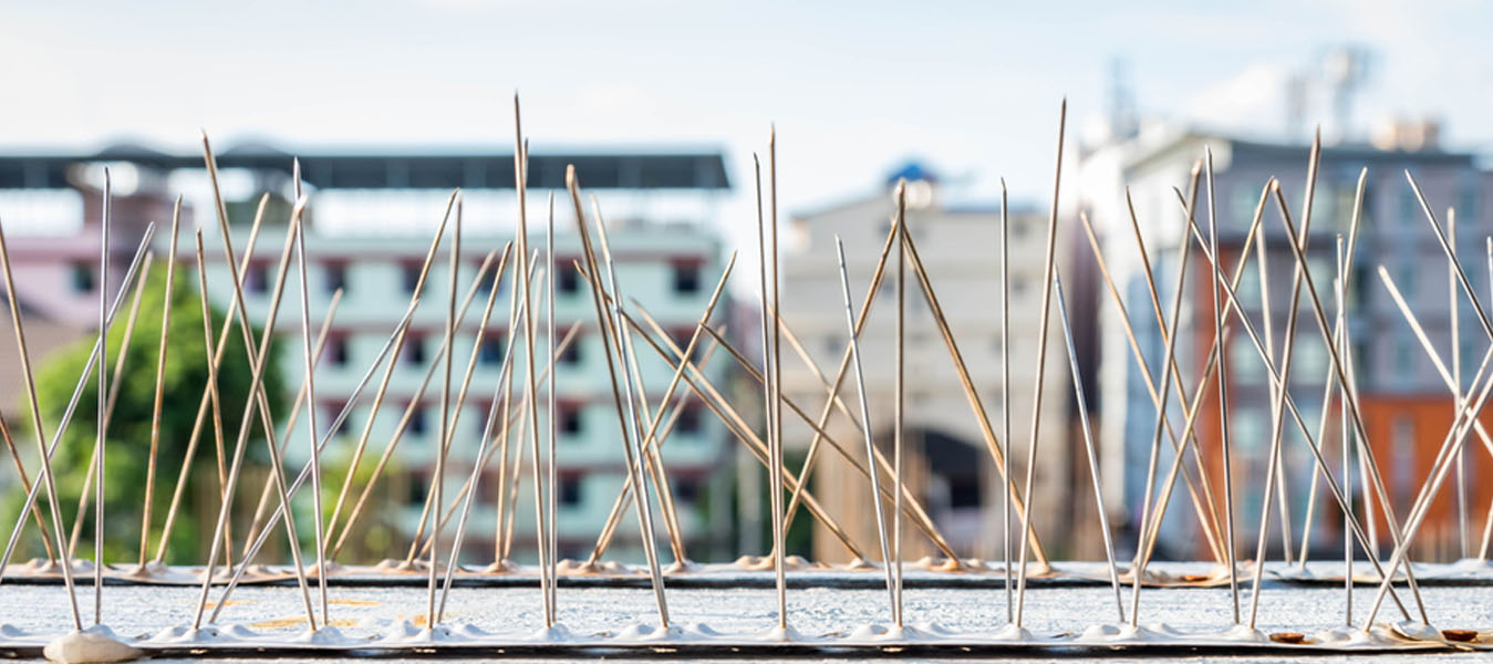 Balcony Safety Nets in bangalore